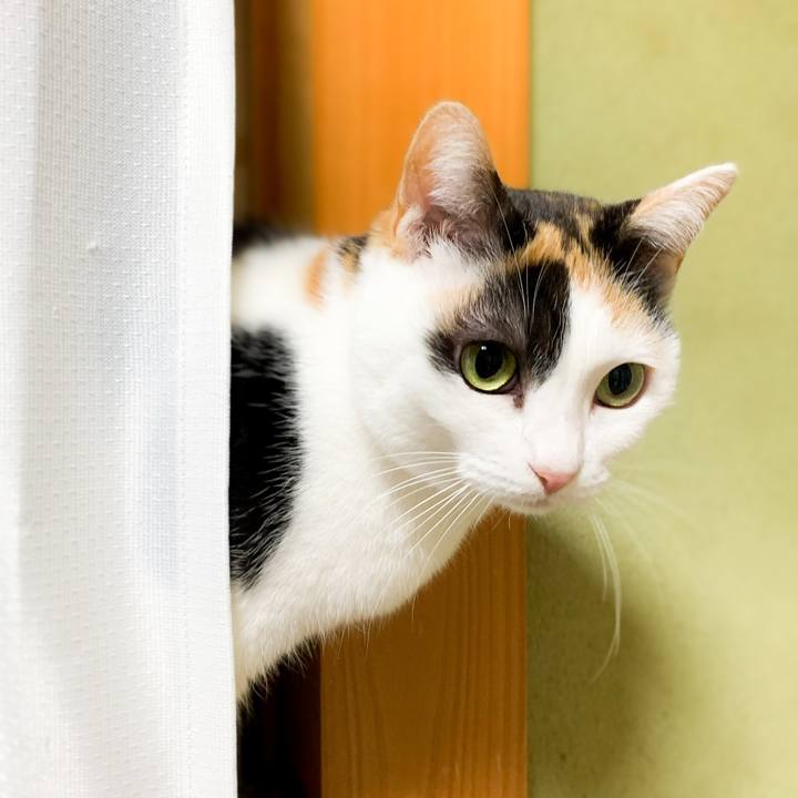 Ffb02b3d 9f98 43d1 b993 f0f6f06bbf3d 1583461171285