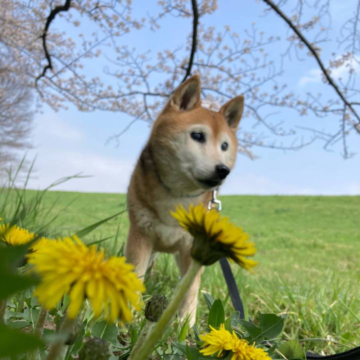 Ffb03c0c ccec 4153 869f 75d70fd9d0b0 1774841768896