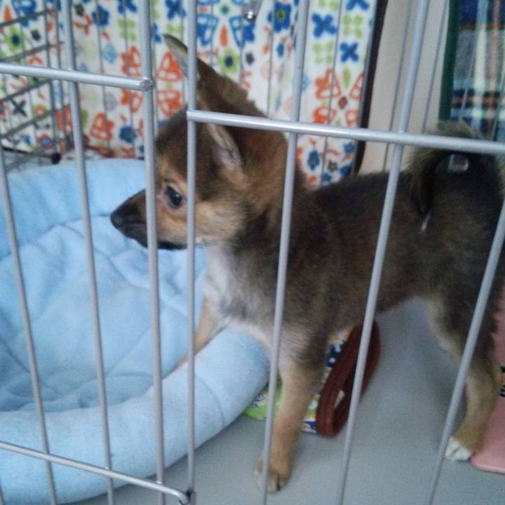 Ffb03e0c e862 43f7 a81c efa0727cf56d 1575780092225