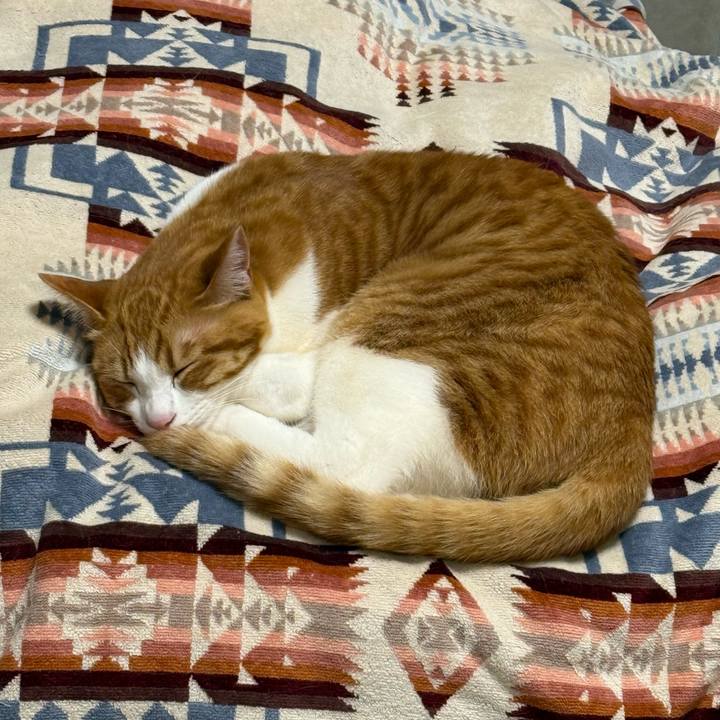 Ffb06037 c706 405c a7e7 cae09e65b72d 1771984209617