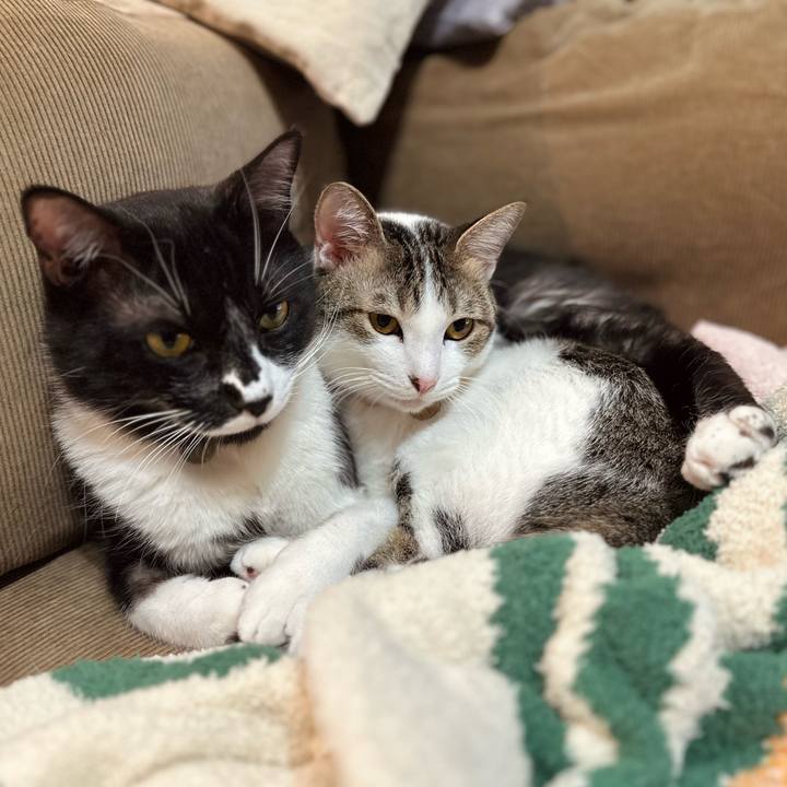 Ffb060b4 0dd6 414d 9f06 8f57325ac0fe 1769337707947