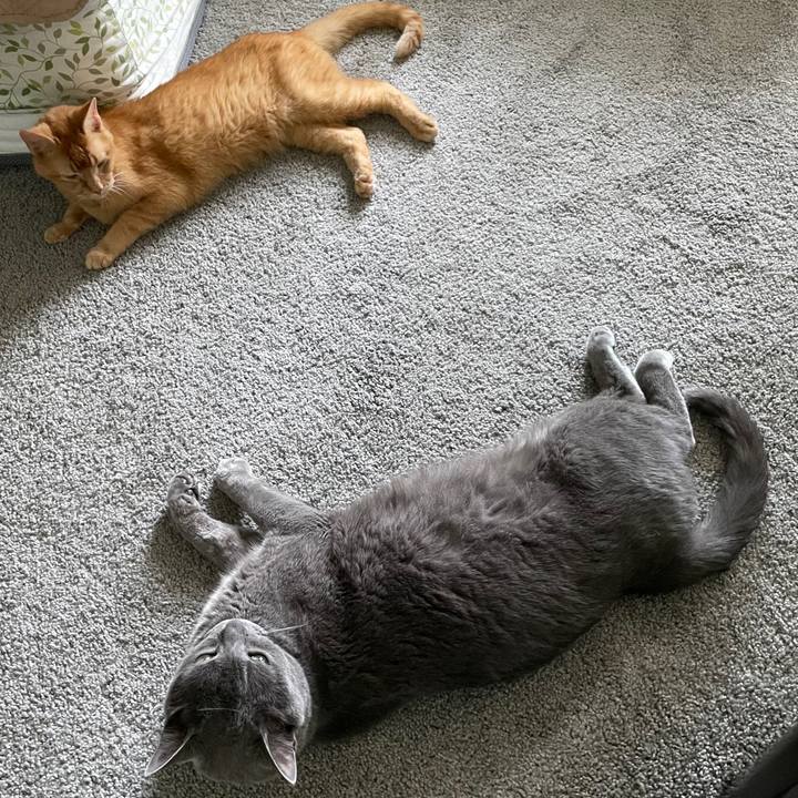 Ffb063e9 4031 4acc 9cd6 148d6a24d4bc 1695507898640