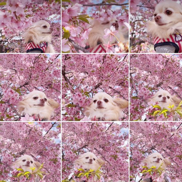 Ffb06449 2449 471b 943d 7a420ef08768 1742444311946