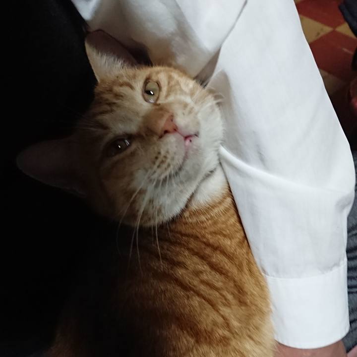 Ffb09b53 4d20 421e 9f01 ce668ceaac69 1576747649274