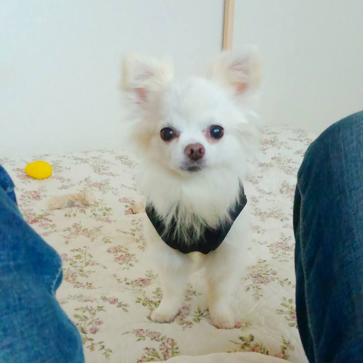 Ffb0a3c5 33ae 461d b269 843f16395208 1524961542210