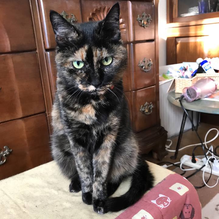 Ffb0f758 4f69 4770 a00e 69174e861c2c 1516752479770