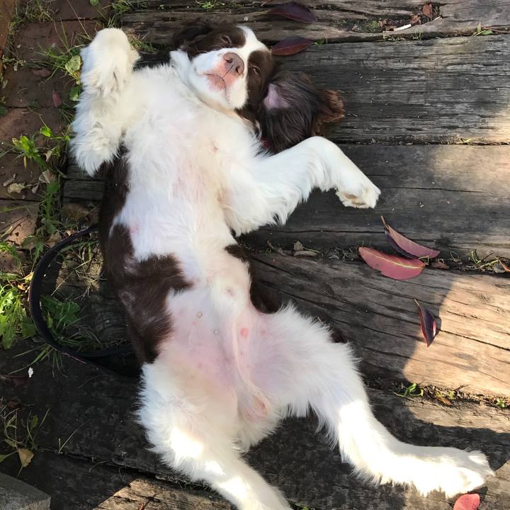 Ffb155b8 ed41 4e3c 8b3c a3f50f161f7a 1511448548092