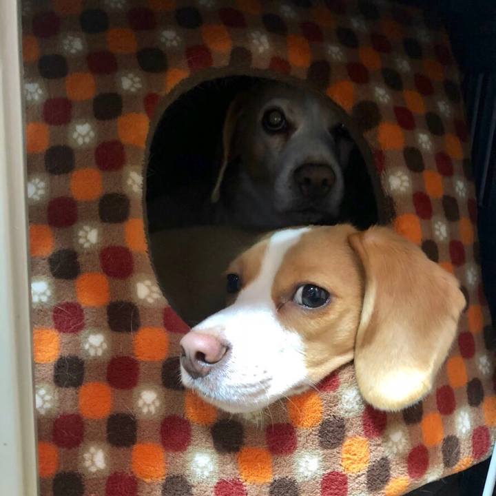 Ffb156ba d16a 45c7 915d bb8a46d0541d 1541921079425