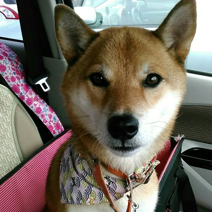 Ffb1602b 7984 43ec ae70 0881da62bad7 1537261068114