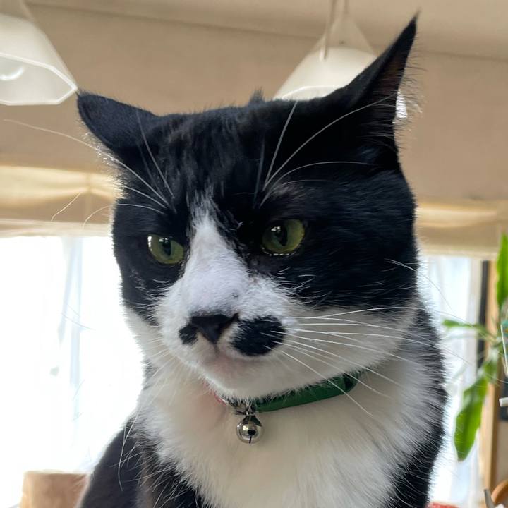 Ffb1d1e6 1019 4aa1 b966 32d6219d67c6 1710639053380