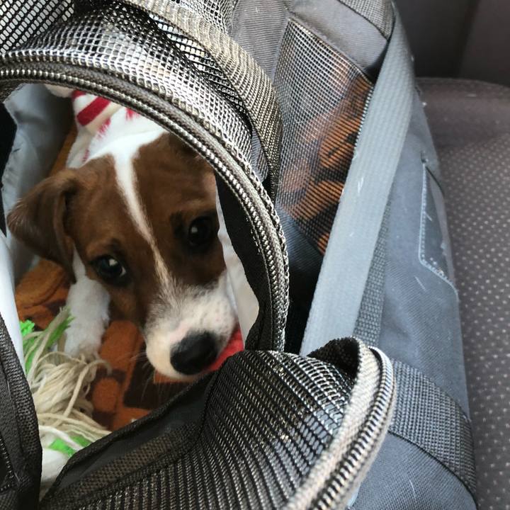 Ffb1e5ad c7bf 4ec5 a533 e96a98072e1f 1513820683490