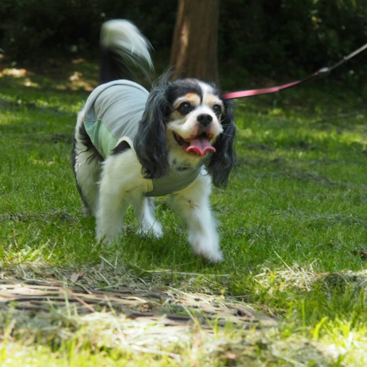 Ffb2196d 472e 4040 8d37 5980c2e2d066 1524970158441