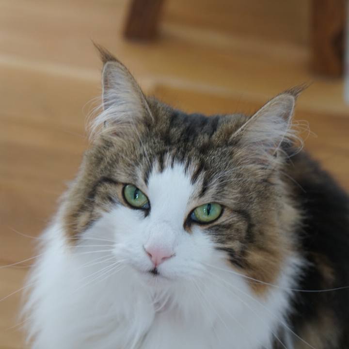 Ffb227e8 71d3 41b5 bb90 fd95fc686468 1552989063132