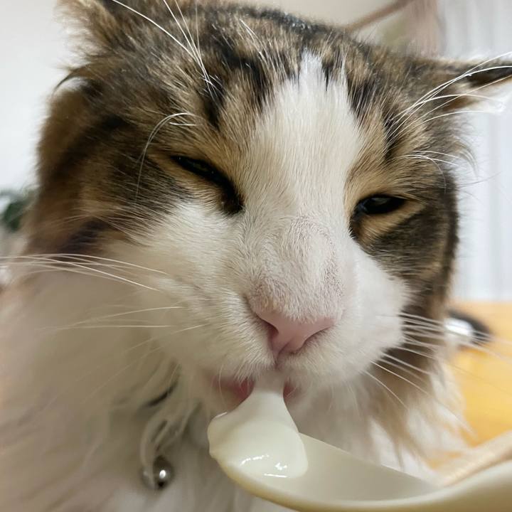 Ffb2322d aed6 4159 a1fa 93dfb11c7c7a 1642886916409