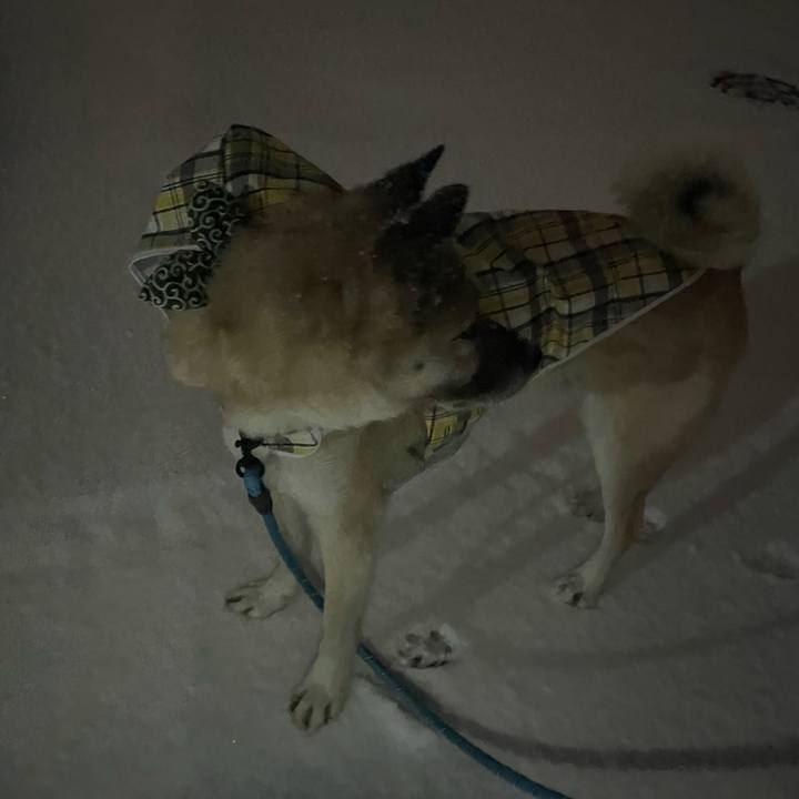 Ffb23488 ad69 4a16 a7bc 5ac0ffe54952 1674646688335