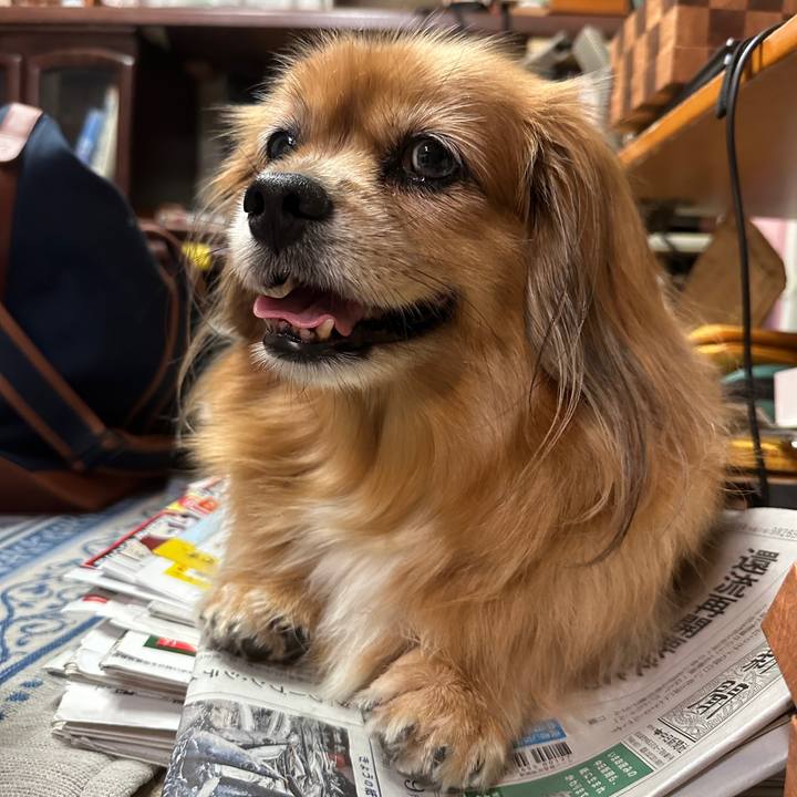 Ffb254bb 60b2 4ebe bf95 ab872fe6270e 1758928102804