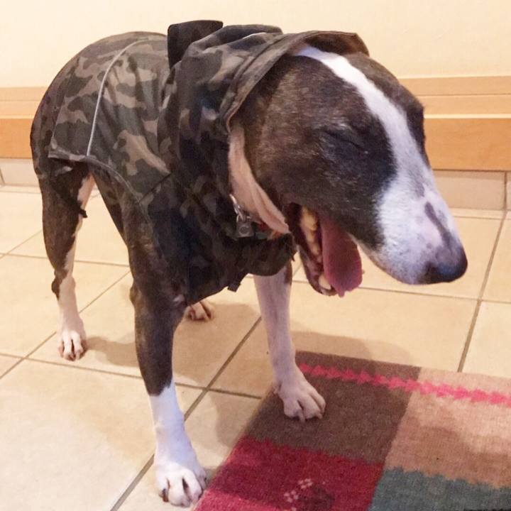 Ffb25ad2 b9ea 40e3 9e28 1446e0b8d5fb 1508139135063