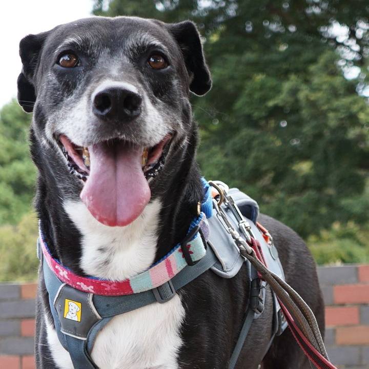 Ffb28907 5502 4fb1 af51 d084d7b6397a 1759711618229