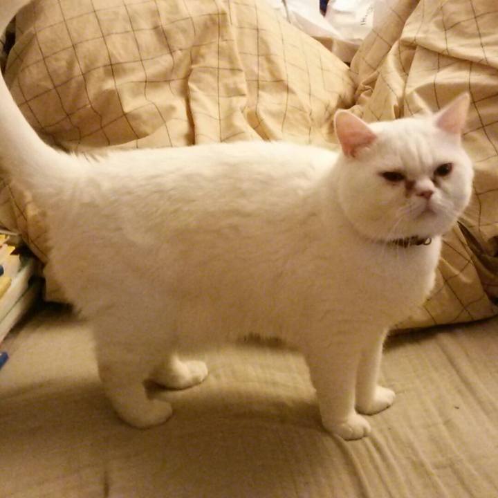 Ffb298d6 2327 4eeb 8b94 c9f87230ea07 1507676061761