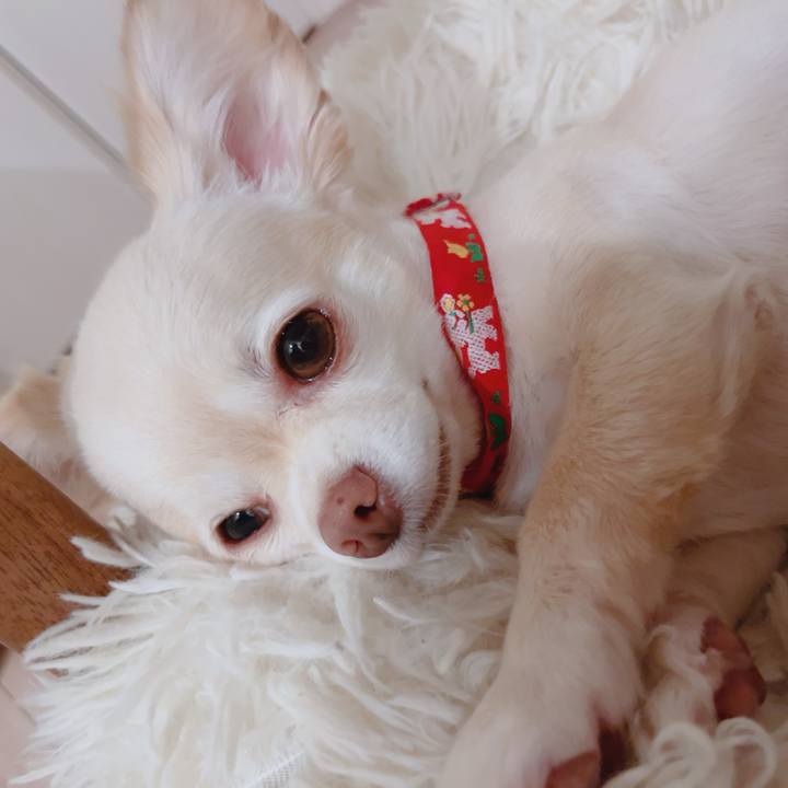 Ffb29bbb 9e55 4928 9f31 94728250c63c 1756475442949