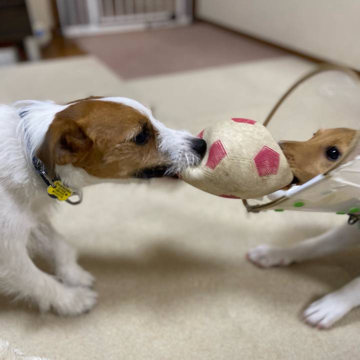 Ffb2a0fd f608 48c4 a6fb c3711711dcb1 1751025654739