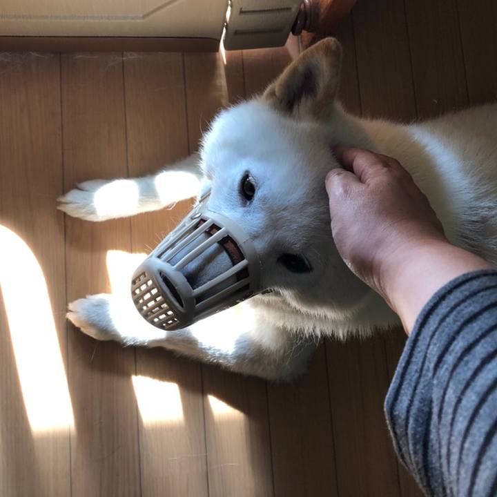 Ffb2ec99 6936 4cac b39c a3581aaeb0a0 1560465623159