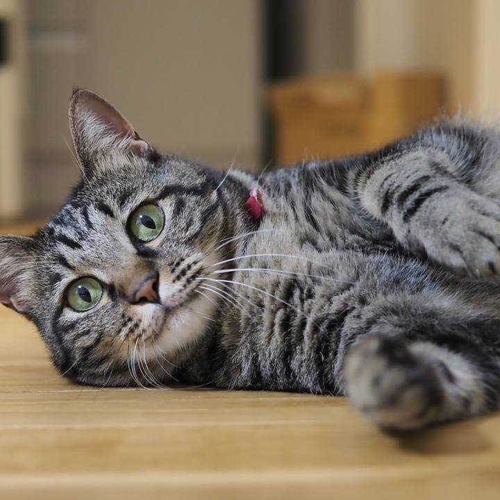 Ffb317c9 c35b 4969 ac52 de5d447e329a 1598362181933