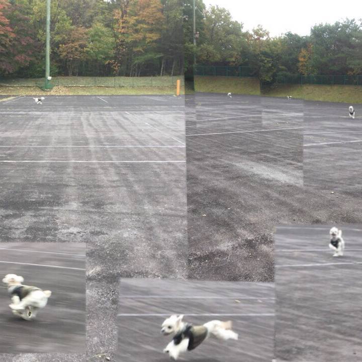 Ffb35b62 06bc 40c6 be53 d68af85869f1 1510046700695