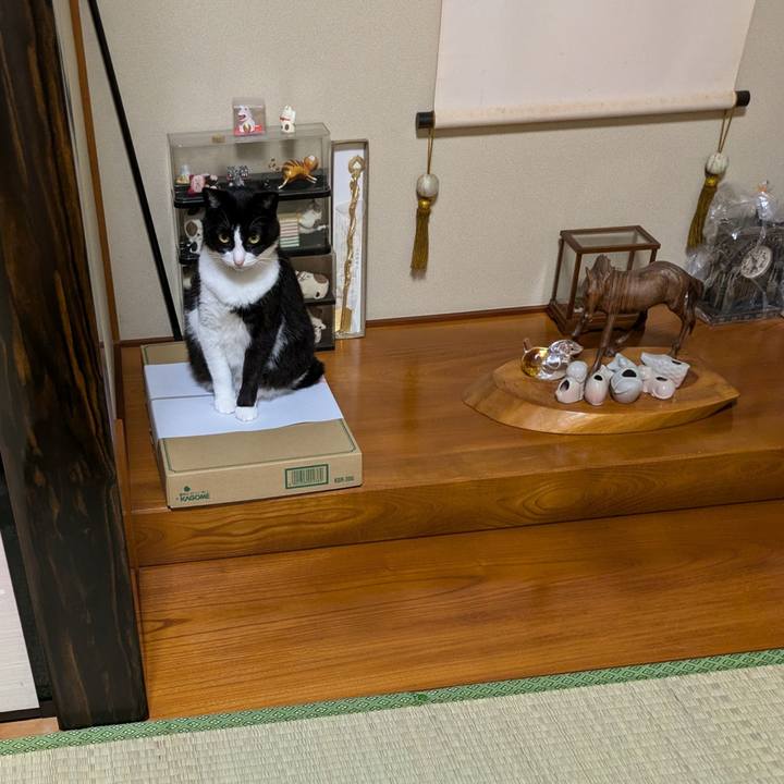 Ffb38560 408c 4f82 adfa fca8a2194a58 1725259680517