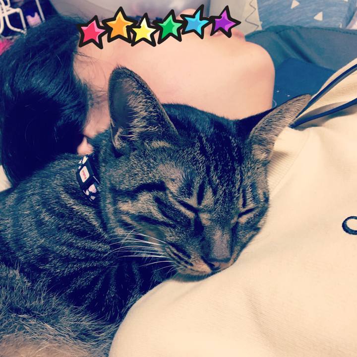 Ffb3a9ba 6ca0 4f73 863c d21eae4bdc14 1568820154911