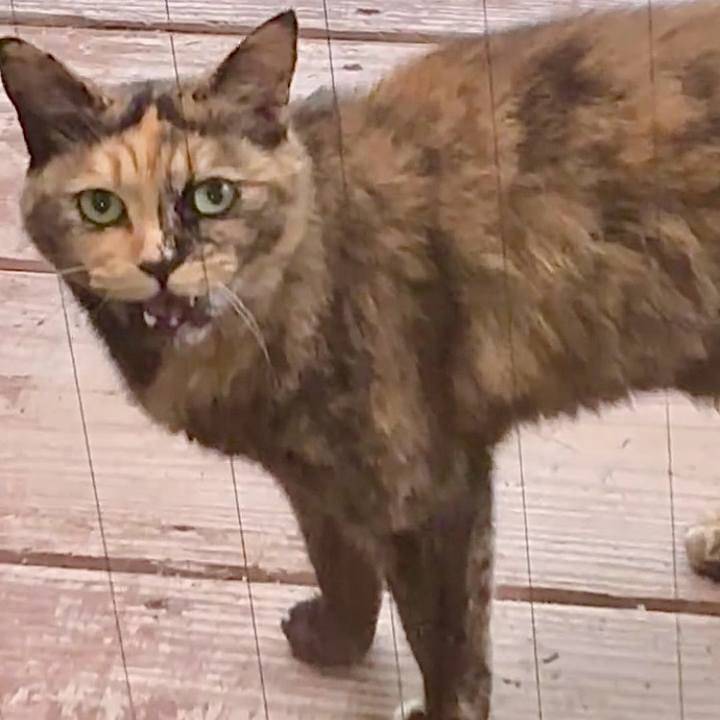 Ffb42587 c828 4cde a702 1a9e52e4d778 1750593316933