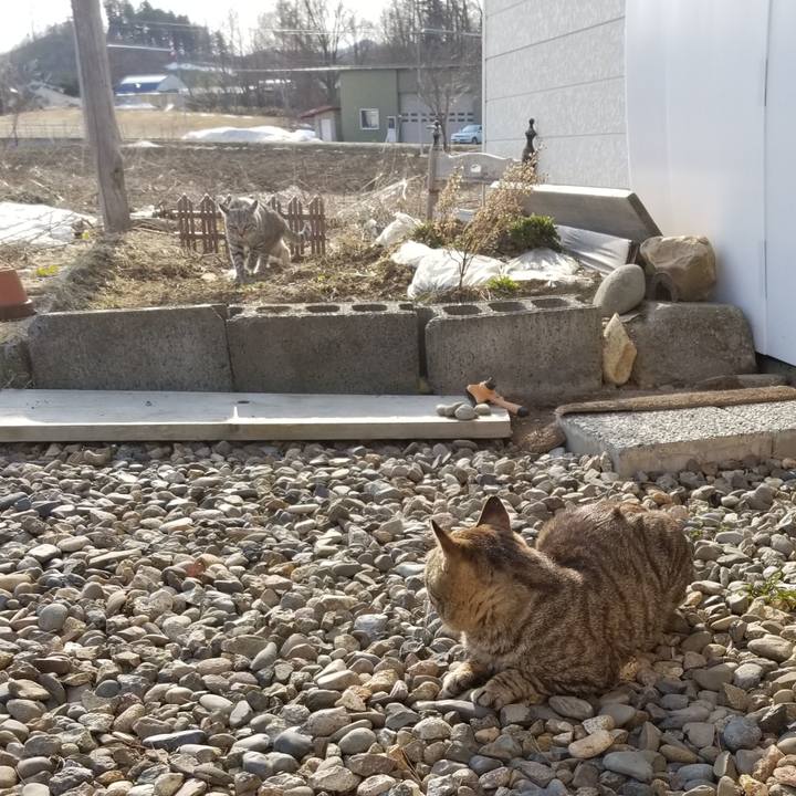 Ffb43eeb d81d 4bc2 b140 5a63df6c3e5c 1587192027278