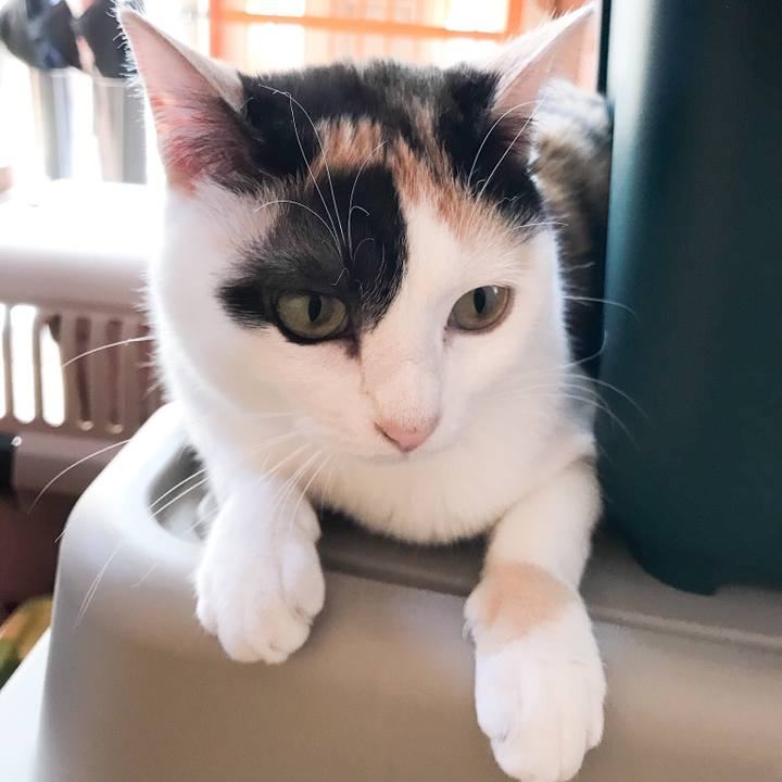 Ffb457ac 34c4 4a95 8e5f ffe6d41d99d1 1528599909889