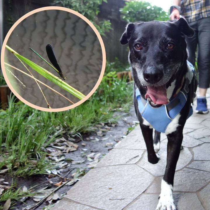 Ffb48f97 788a 4d78 8f6d 093dc1403b21 1721866536798