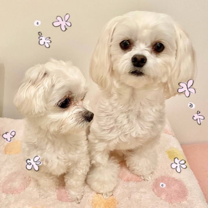 Ffb49b97 a88c 46e0 a332 f230614566f2 1620880087939