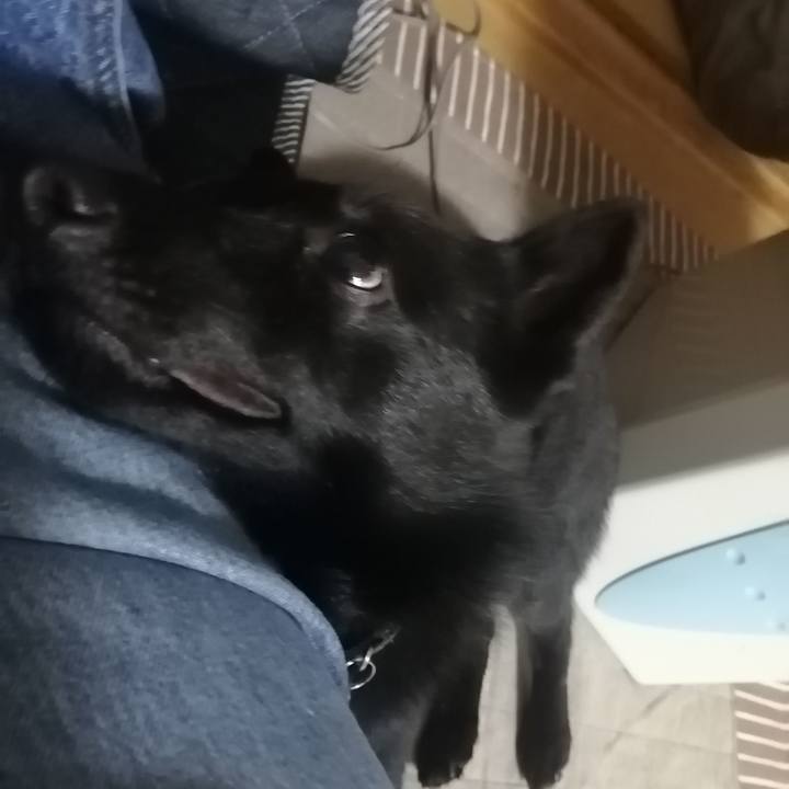 Ffb4ab3b 9df6 4836 b5bc c366ead5a2e7 1621253806616