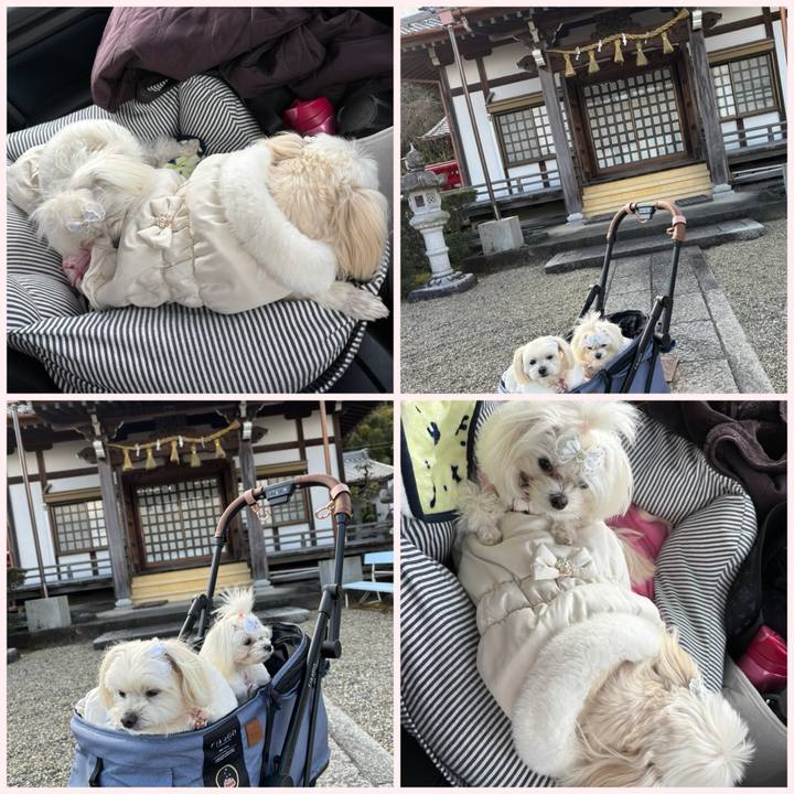 Ffb4bd8f 840d 46aa 9cf0 427614c27b4e 1735891305689