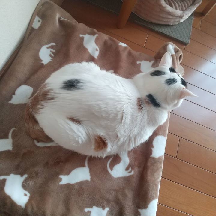 Ffb520e5 fb39 4553 9140 1909fade580d 1677657603379