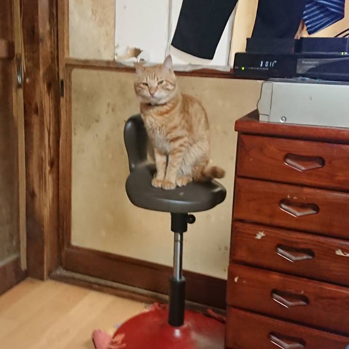 Ffb56e57 e4f2 4d44 9db2 cbddbdcac291 1645353365334