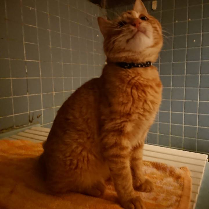 Ffb58432 dab0 4349 a725 7671b263dc8e 1638696955577