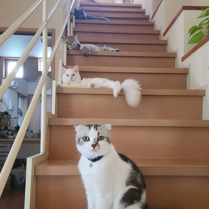 Ffb5880a 2c55 4e0c 8f27 48acc4d8407c 1661406683754