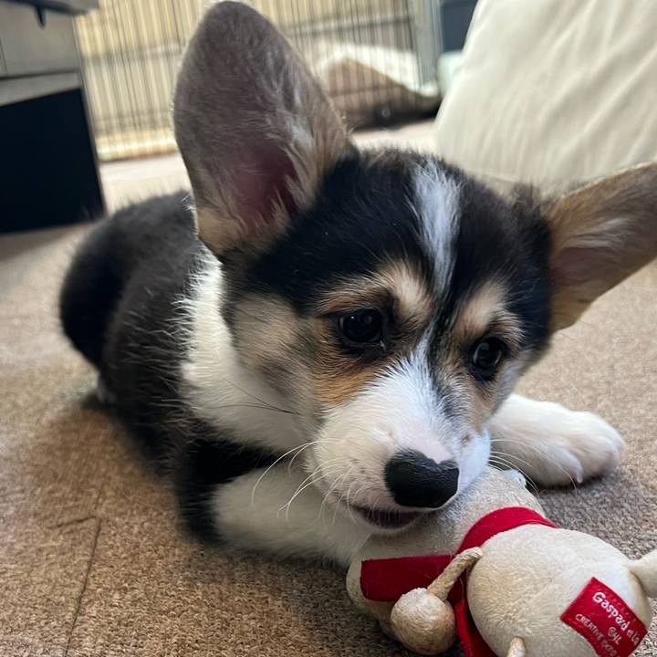 Ffb58b67 f528 4d7f b8d4 b3f07e9aed52 1769227125645