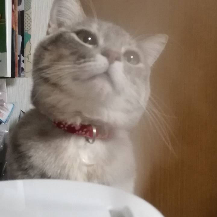 Ffb5a708 b3d9 4926 9b0f d480695ad704 1513043186969