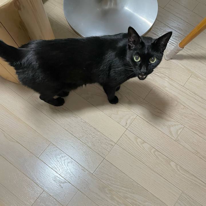 Ffb6019c a4e3 48f8 ba46 24b8a04fdd6d 1686743712816