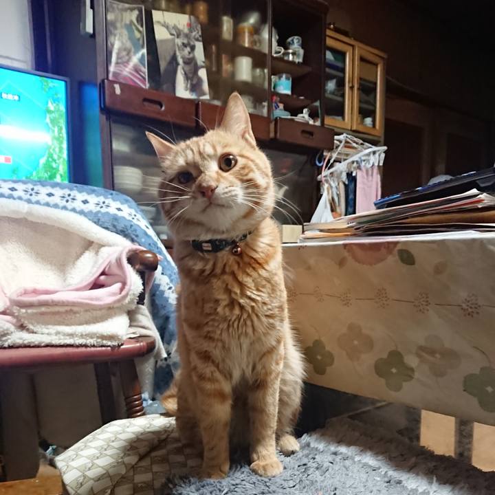 Ffb63c84 643a 45bb 800f 3d4e04885bfe 1647512266974