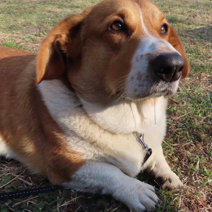 Ffb64258 ca57 4146 9290 bd0a8bf81fb8 1647097087106