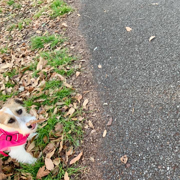 Ffb65c8b 7b0a 4f9e abd2 29aaf0bad2a6 1577947682332