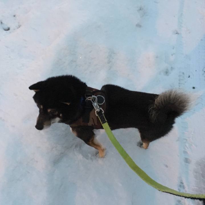 Ffb66a4d 5a30 4a64 8476 0d63243a1946 1512290758270