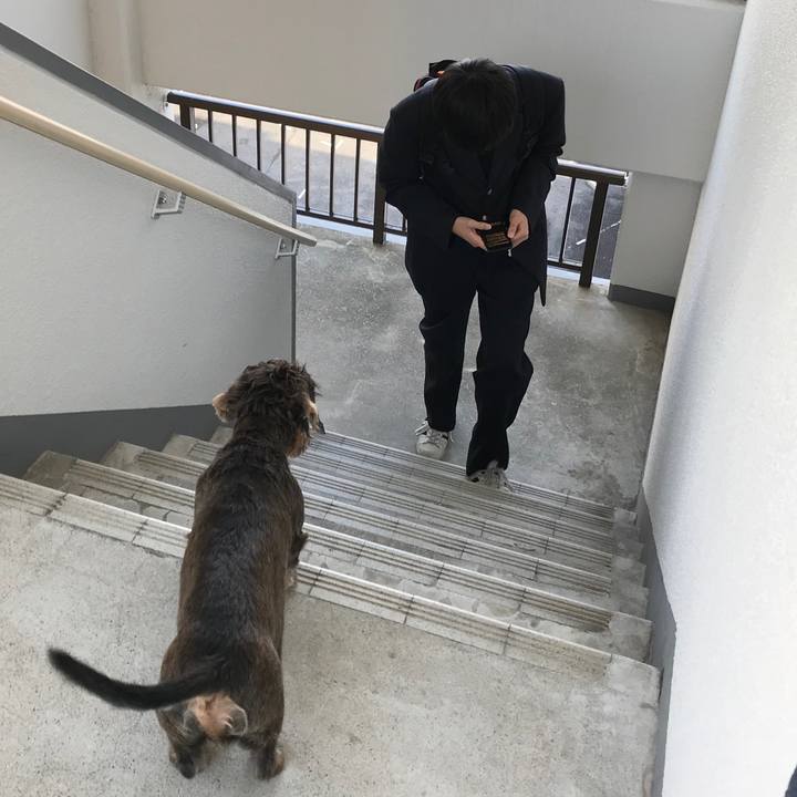 Ffb69c79 7c7d 485e ba21 15b2e430ce49 1543979536250