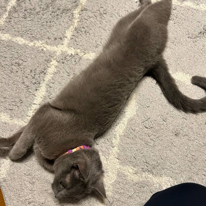 Ffb6a564 b5f1 480b 943f b29a277171aa 1758280226790